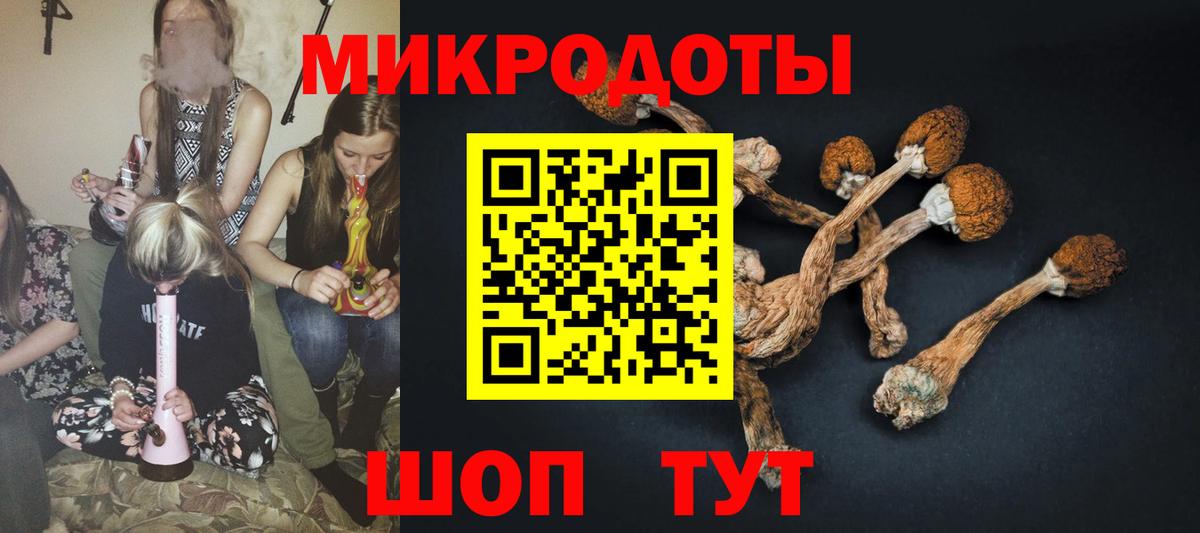 Галлюциногенные грибы Psilocybine cubensis  Вход с VPN  Прохладный 